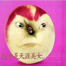 网络水果搞笑对话