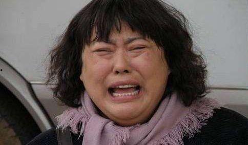 李箐演员,光影交织下的璀璨星途