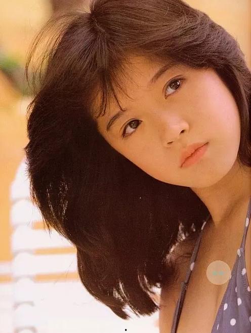 日本娱乐圈人气,明星璀璨，粉丝如云