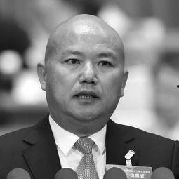 陈明金个人资料,从基层奋斗到行业翘楚的传奇人生