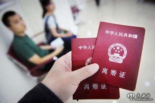 深圳离婚资料,婚姻现状与趋势分析