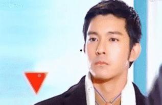 陆子演员,光影交织下的演艺人生