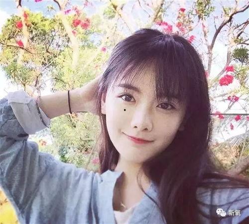 网红演员,闪耀舞台的璀璨新星