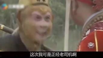 搞笑版大话西游,笑料百出，笑翻三界