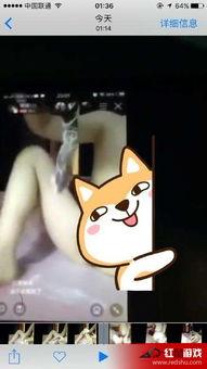 成都女主播黄鳝,网络直播的道德边界与法律挑战