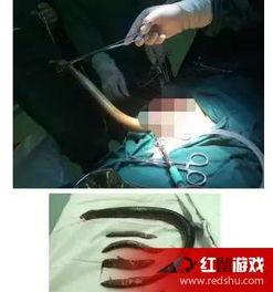 女主播和黄鳝新闻视频