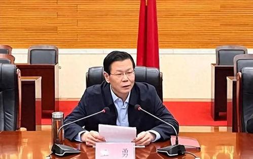 网红王勇照片,镜头下的魅力与魅力