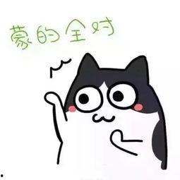 抖动的表情包,捕捉生活趣味瞬间