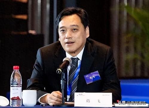 葛飞个人资料,才华横溢的青年才俊，多领域成就斐然