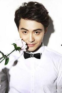 马天宇什么背景,从平凡少年到璀璨明星的蜕变之路